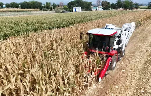 尊龙凯时 - 人生就得博中国官网