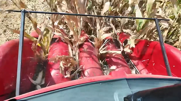 尊龙凯时 - 人生就得博中国官网